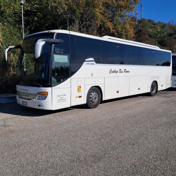 Esempio dalla galleria fotografica di CINTHYA BUS SERVICE SRL