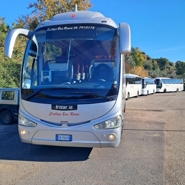 Esempio dalla galleria fotografica di CINTHYA BUS SERVICE SRL