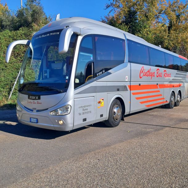 Esempio dalla galleria fotografica di CINTHYA BUS SERVICE SRL
