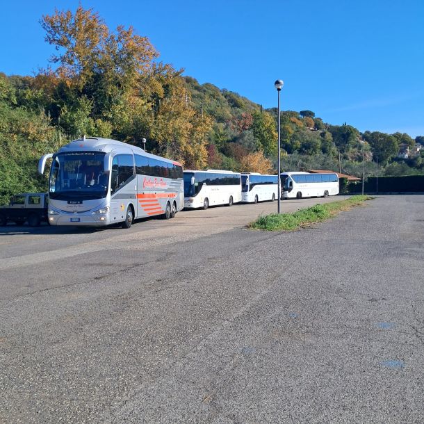 Esempio dalla galleria fotografica di CINTHYA BUS SERVICE SRL