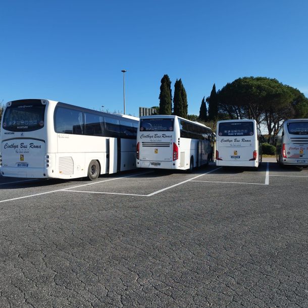 Esempio dalla galleria fotografica di CINTHYA BUS SERVICE SRL