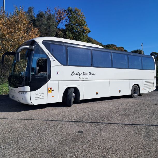 Esempio dalla galleria fotografica di CINTHYA BUS SERVICE SRL